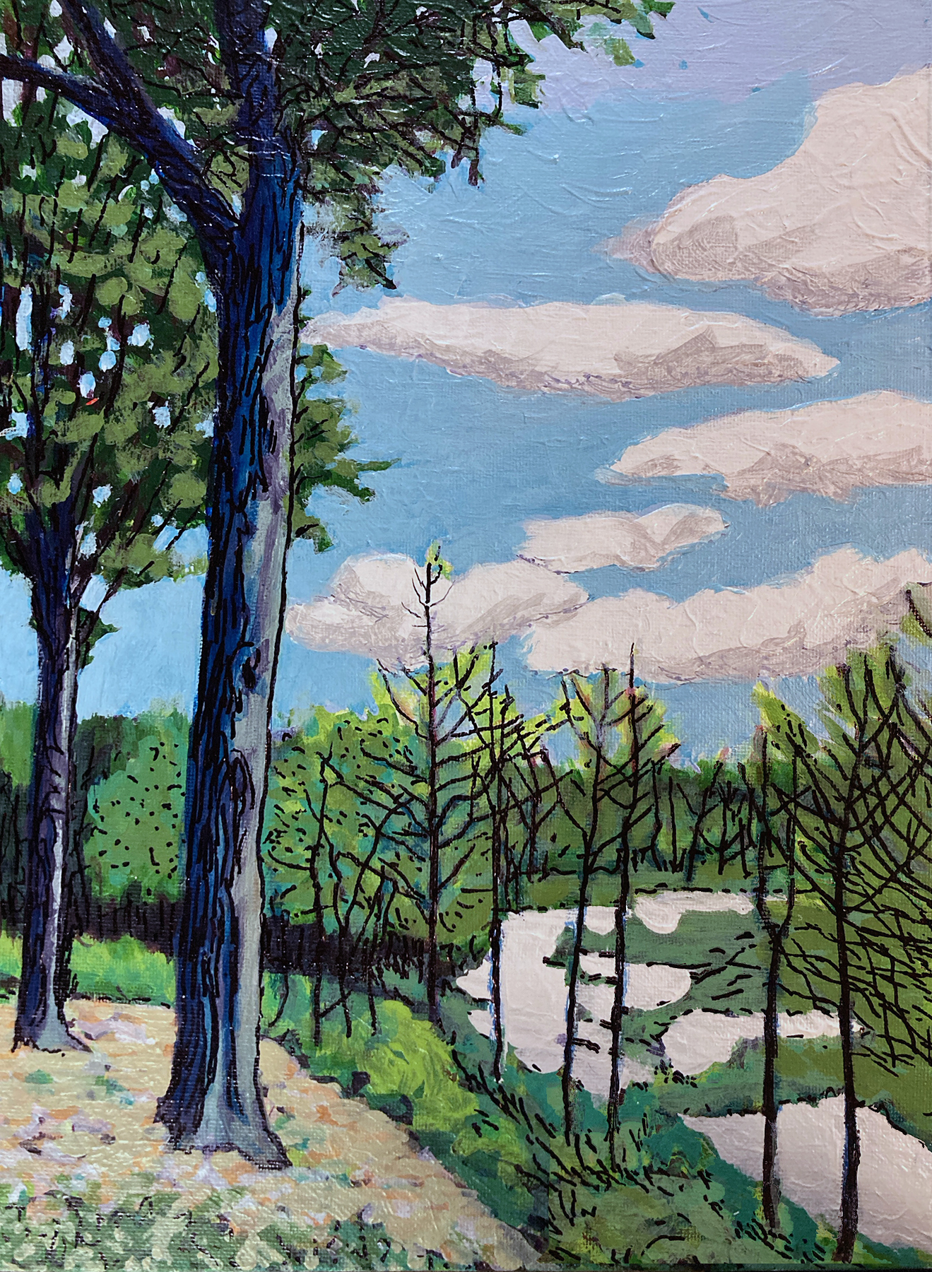 Trees of Virginia: Tuckahoe Creek